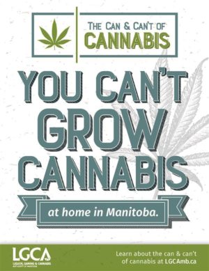 You Cant Grow Cannabis Campaign Poster